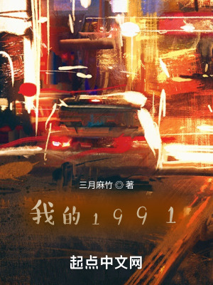 我的1991小说